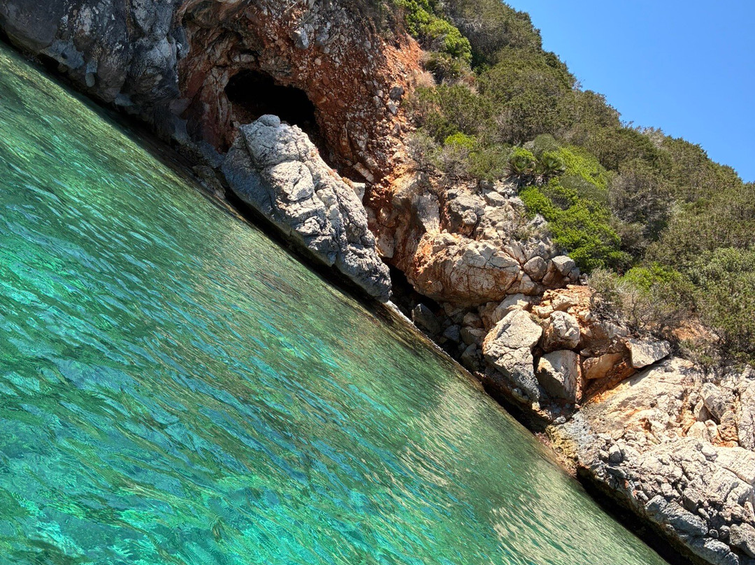 Sea Experience Sardinia-Maristella Porto Conte必去景点