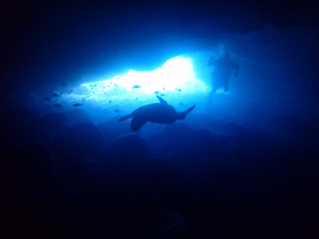 NeverDry Divers-基黑必去景点