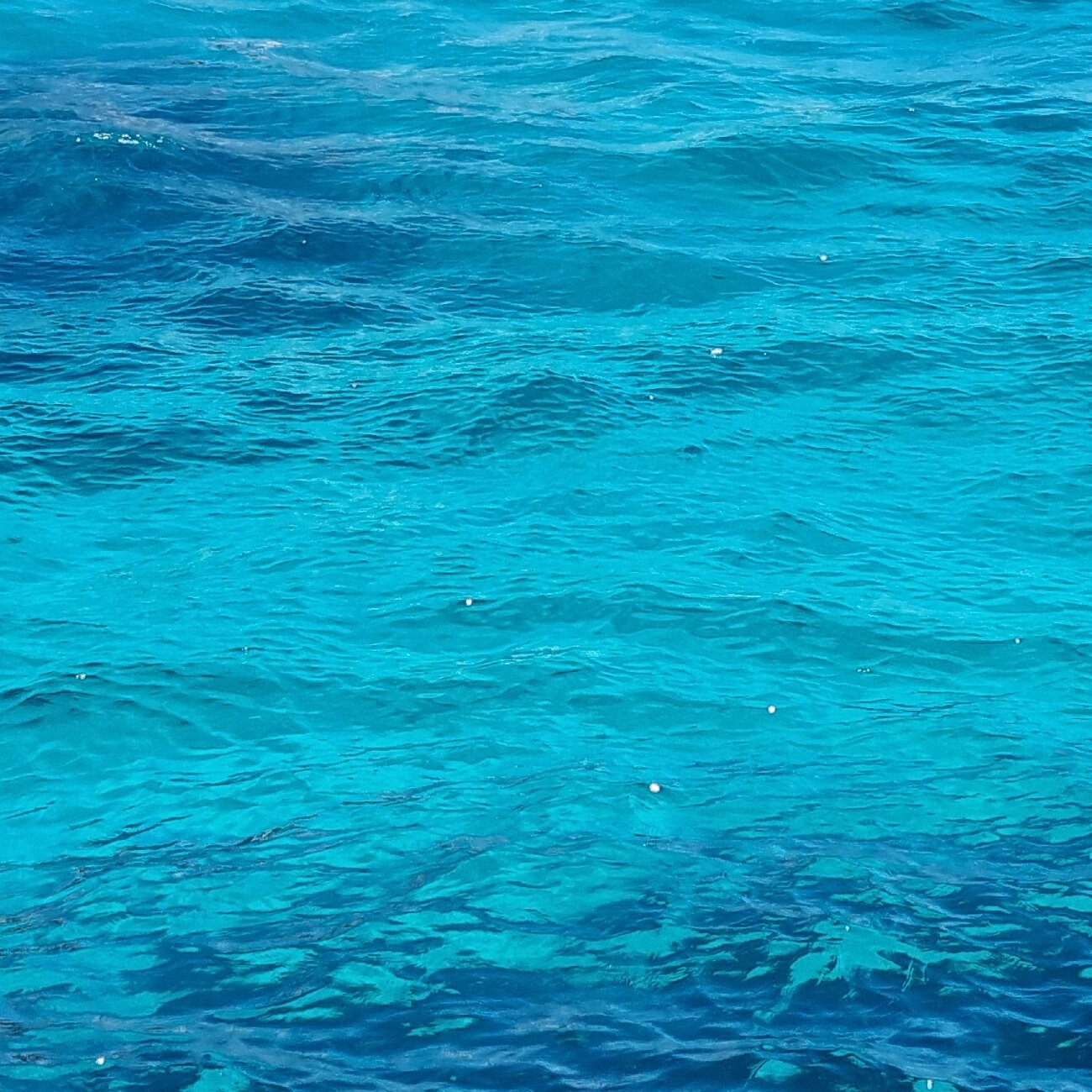Futura Club Cala Fiorita-官方