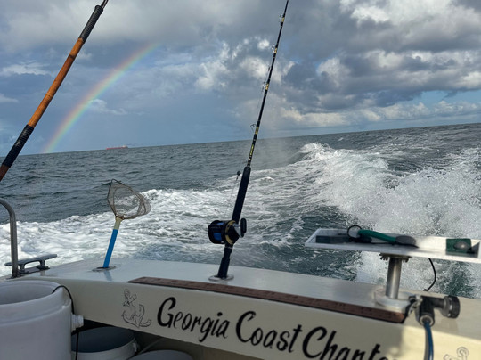 Georgia Coast Charters-泰碧岛必去景点