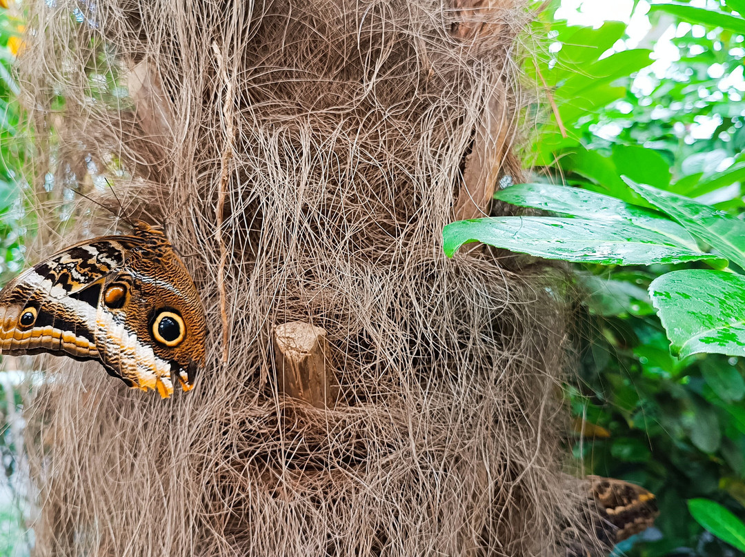Butterfly House Praid-Praid必去景点