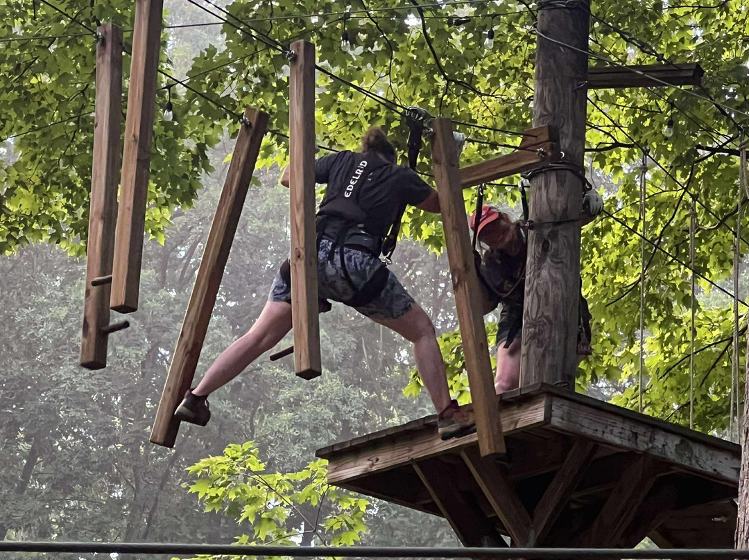 TreeRunner Grand Rapids Adventure Park-大急流市必去景点