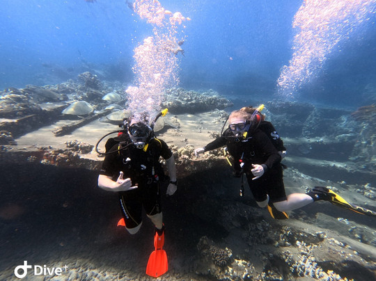 Dive Maui-拉海纳必去景点