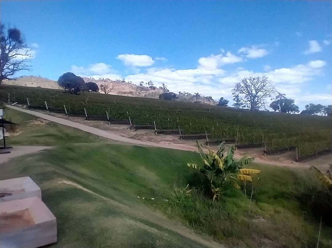 Vinícola Amana-Espirito Santo Do Pinhal必去景点