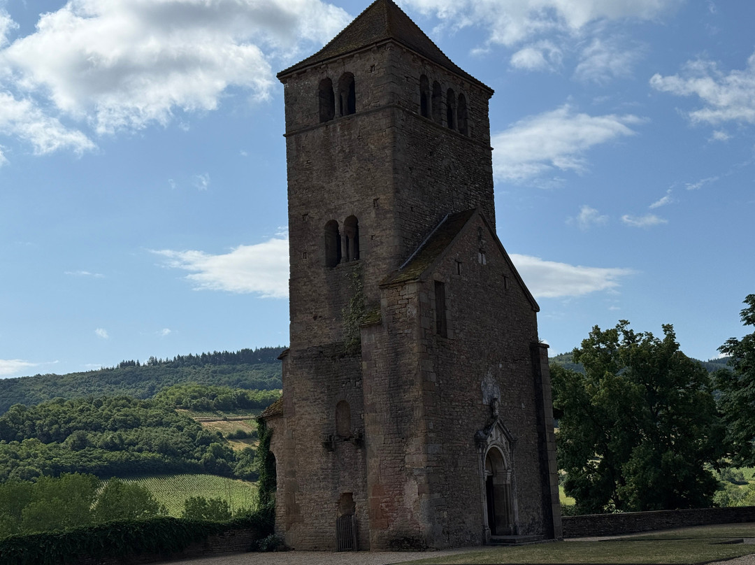 Château de Pierreclos主图