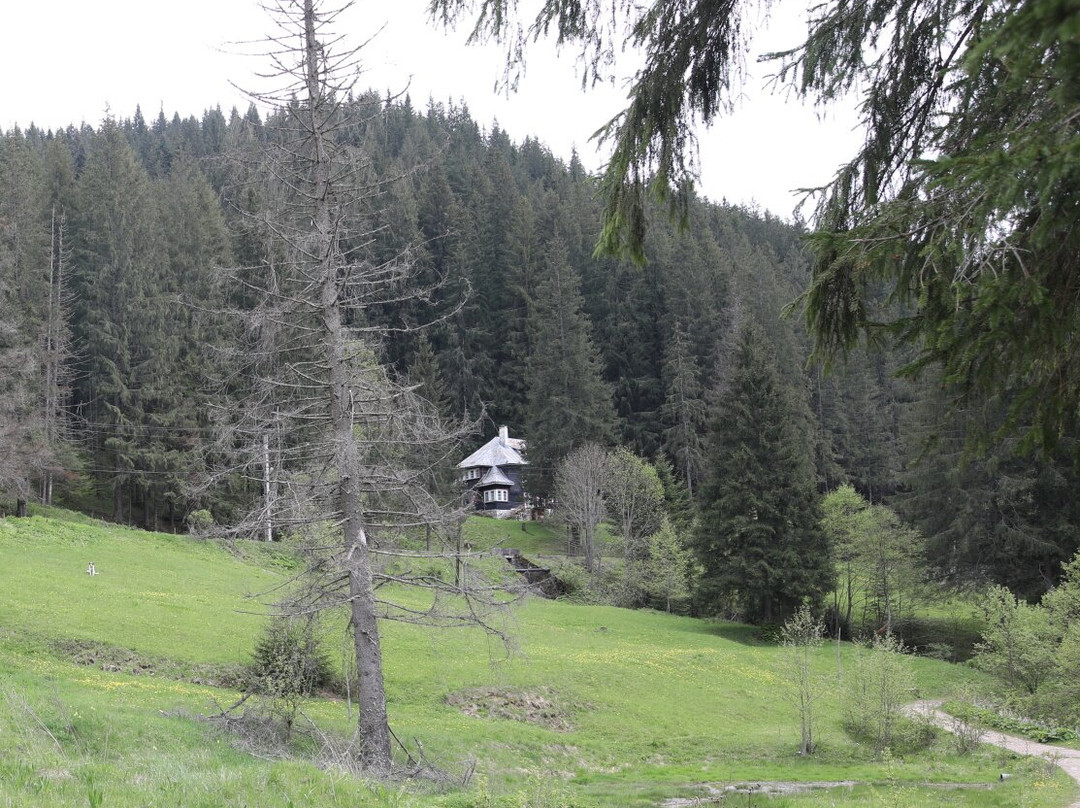 Parcul național Cheile Bicazului-Bicaz-Chei必去景点