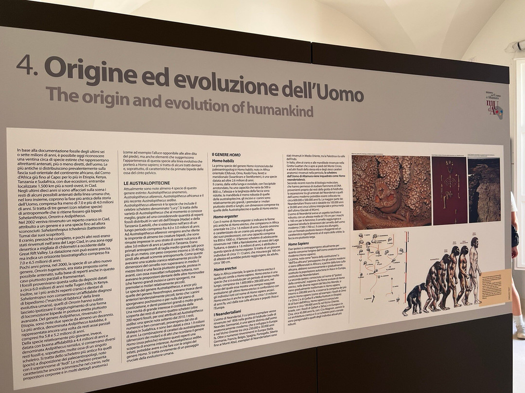 Palazzo Baldassarre-阿尔塔穆拉必去景点