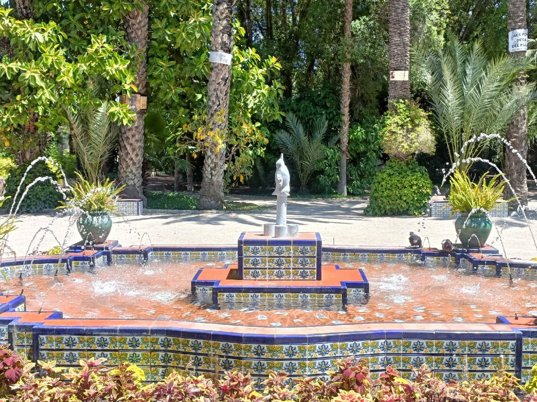 Palmeral of Elche-埃尔切必去景点