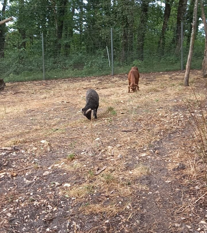 Le Parc Du Thot-Thonac必去景点