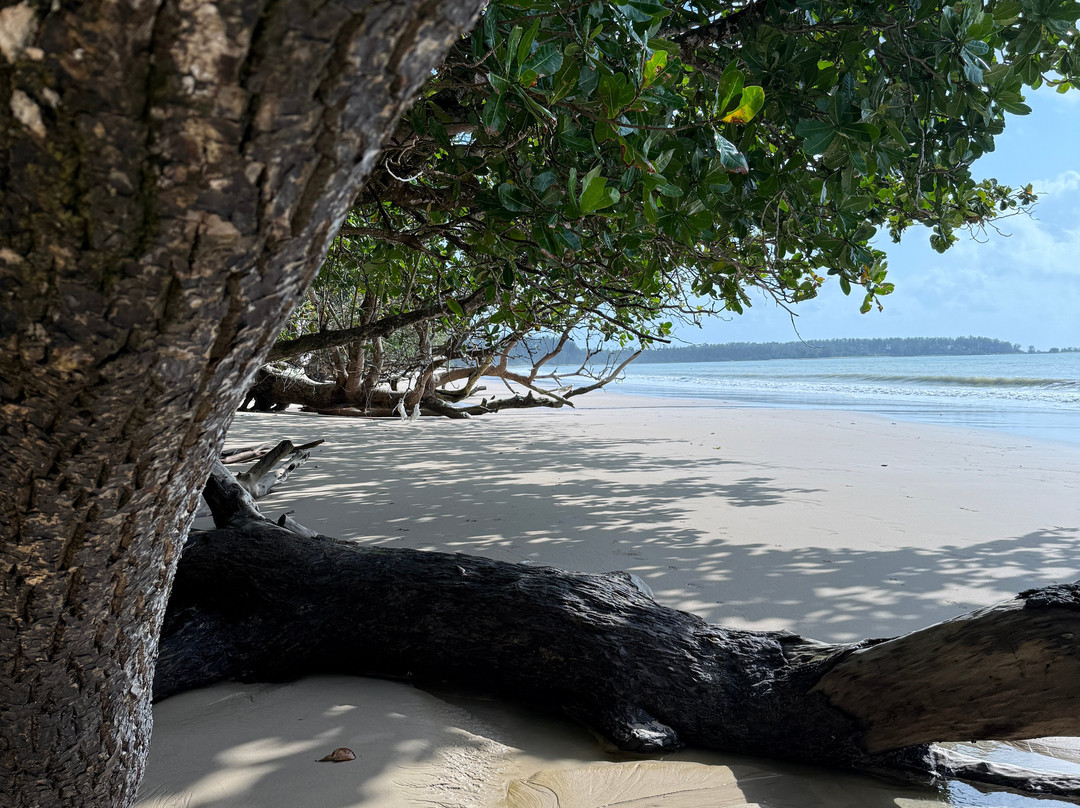 Coconut Beach-库克卡克海滩必去景点