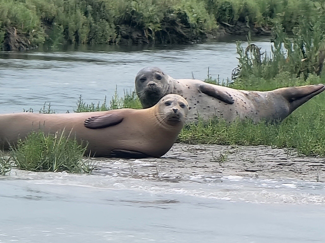 Discovery Seal Trips-Rochford必去景点