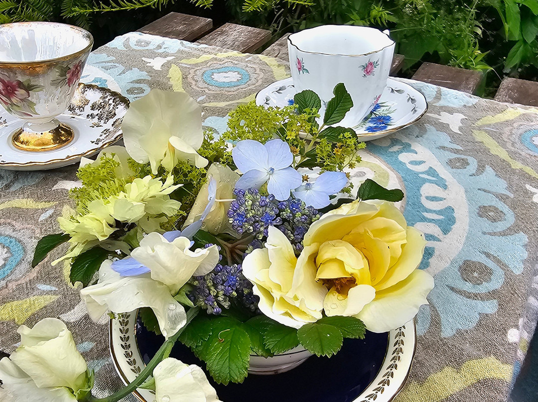 Tangled Garden-Grand Pre必去景点