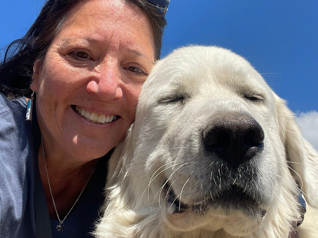 Amaro Farm-星期五港湾必去景点