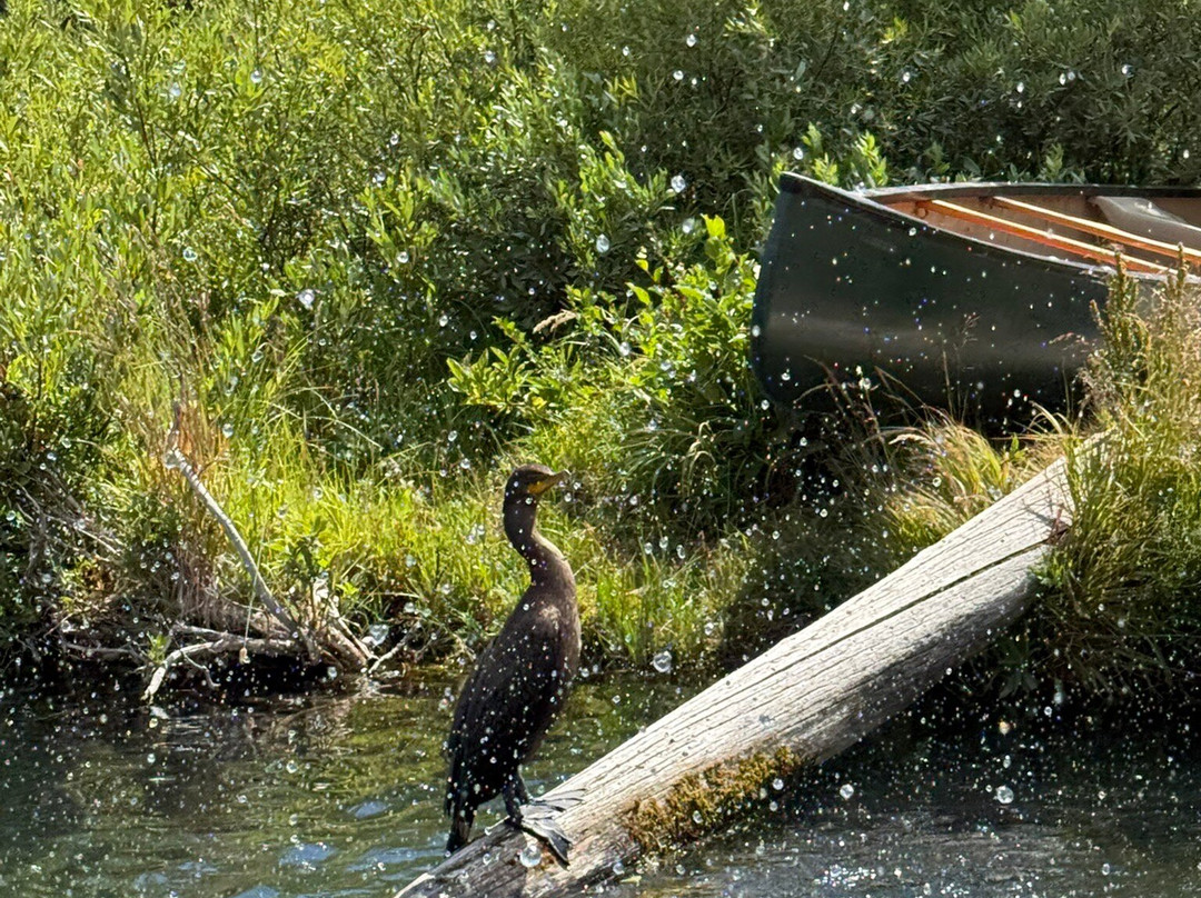 Mack`s Inn Float Trip and Rentals-艾兰帕克必去景点