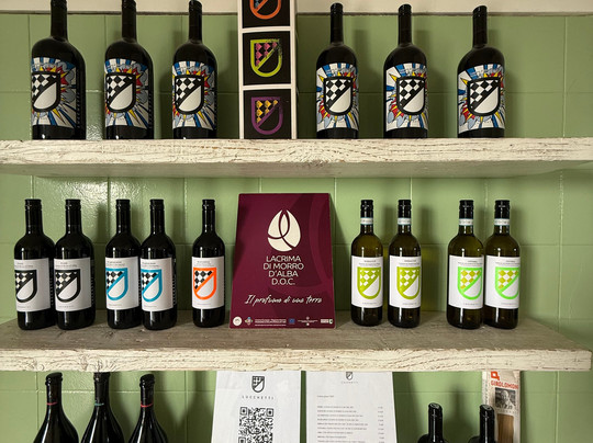 Azienda Agricola Mario Lucchetti-Morro d'Alba必去景点