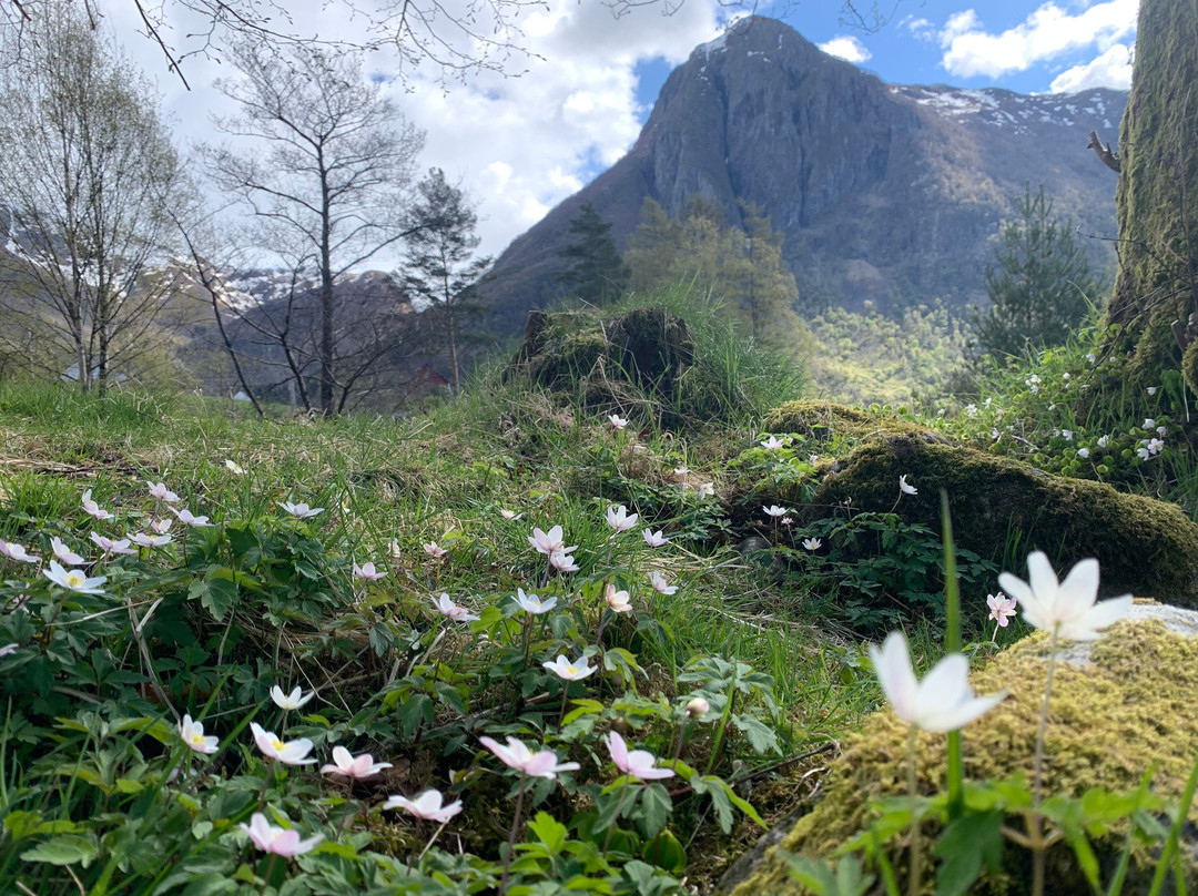 Steinparken-Rosendal必去景点