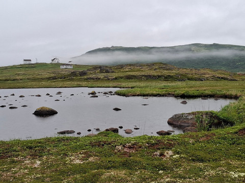 Wildland Tours-圣约翰必去景点