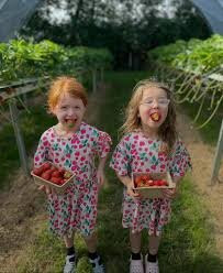 Porth Farm-Caersws必去景点