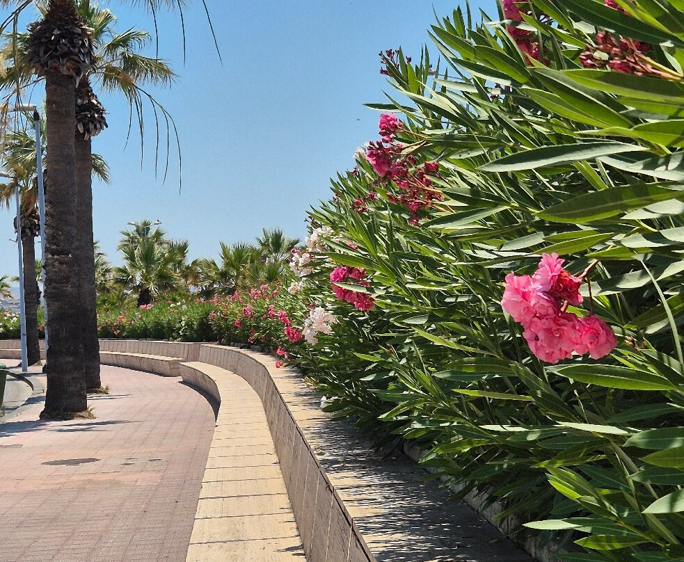 Lungomare Falcone - Borsellino-San Leone必去景点