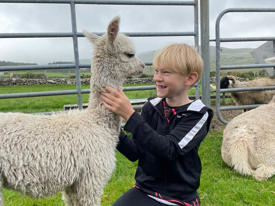 Hidden Hills Waterville-Waterville必去景点