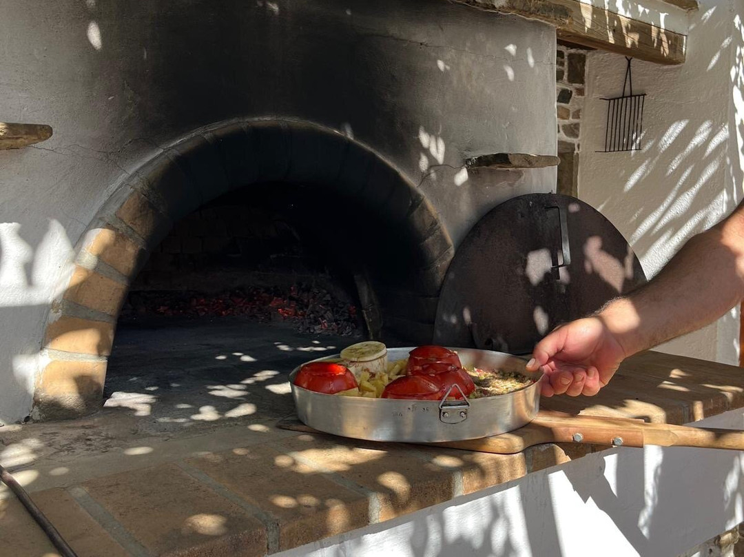 Armeos Farm Experience-Damarionas必去景点