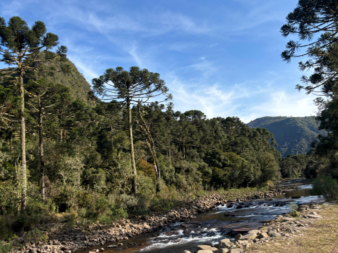 Fruta Fina Orgânicos-Urubici必去景点