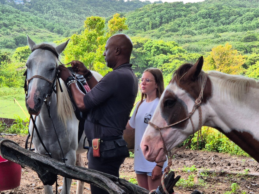 Ranch Anse Macabou-Le Vauclin必去景点