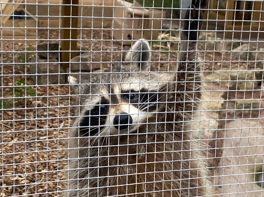 Brockswood Animal Sanctuary-Dudley必去景点