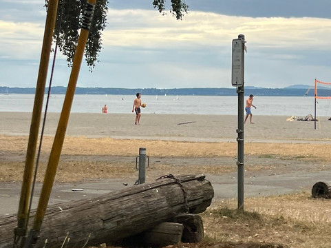 金园公园-西雅图必去景点