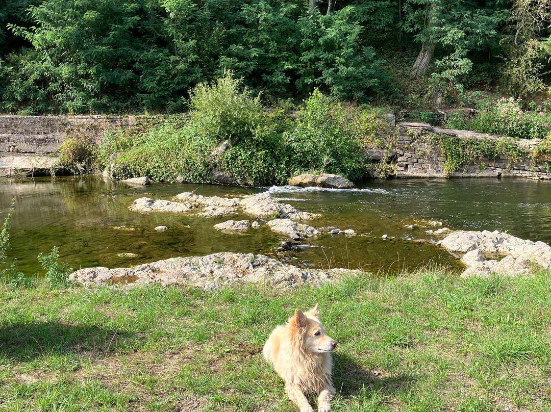 Hotel-Restaurant Ewerts主图