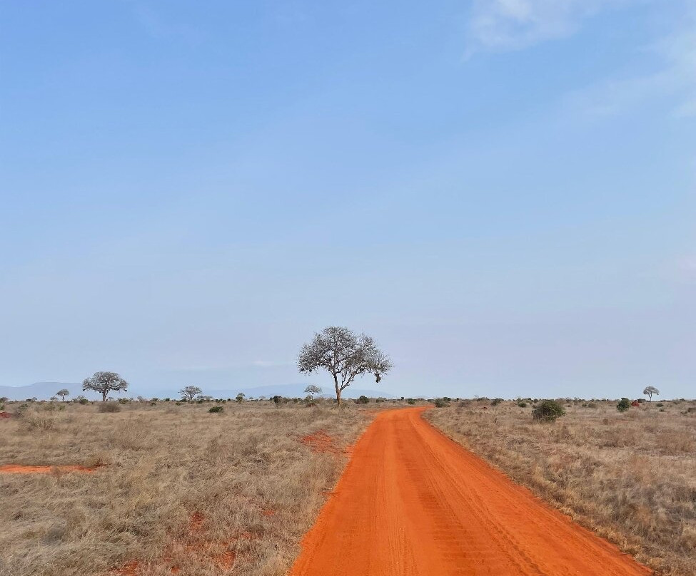Msherembe Safaris And Travel-Voi必去景点