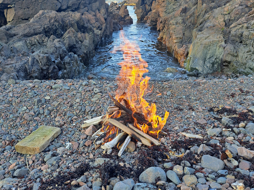 Adventures Newfoundland-Fortune Harbour必去景点