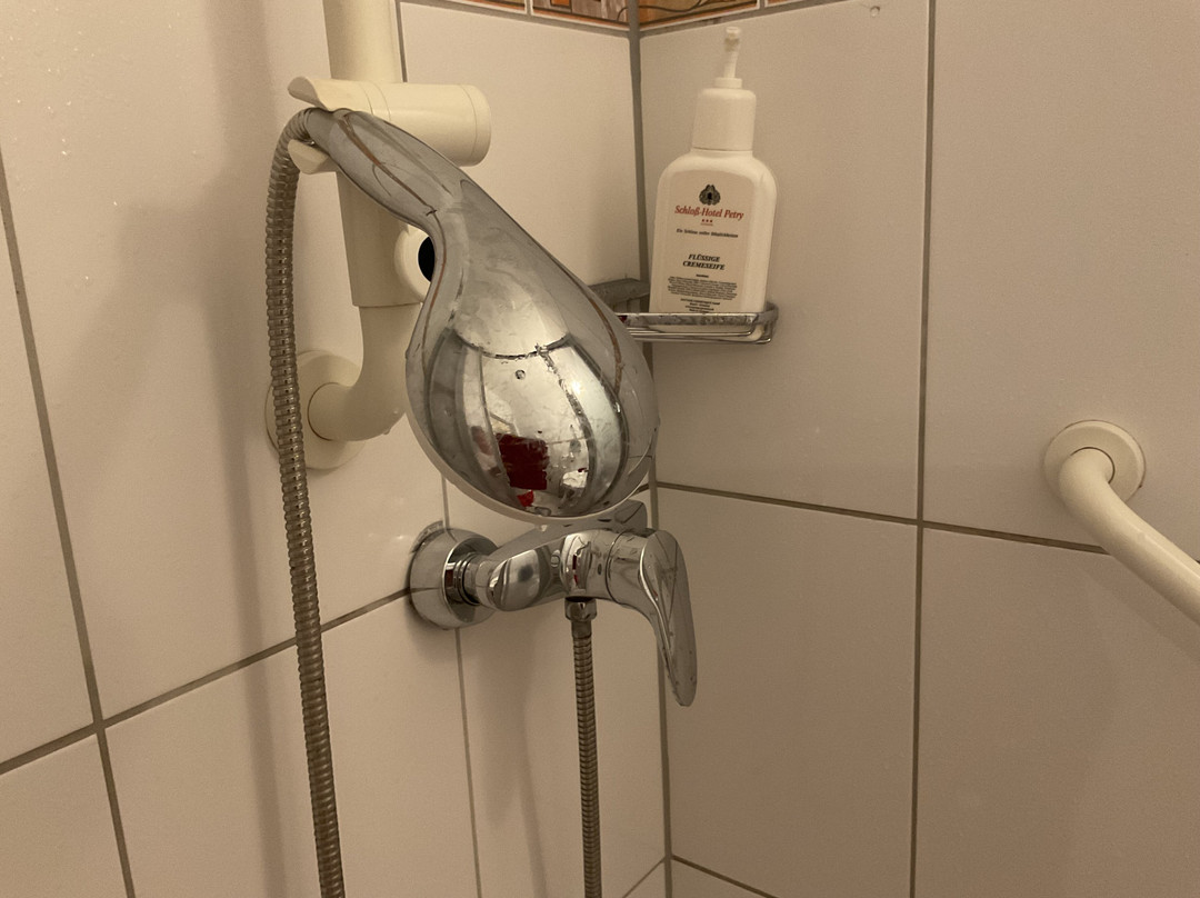 Schloß-hotel Petry主图