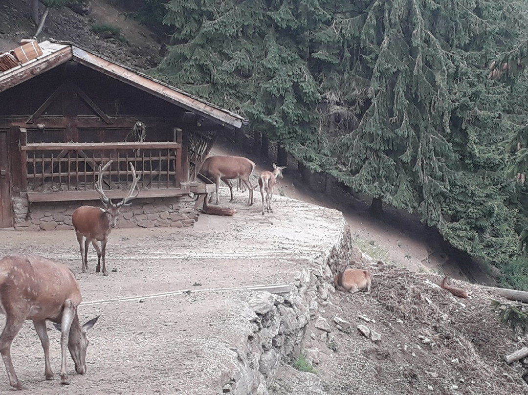 Area Faunistica-Peio Fonti必去景点