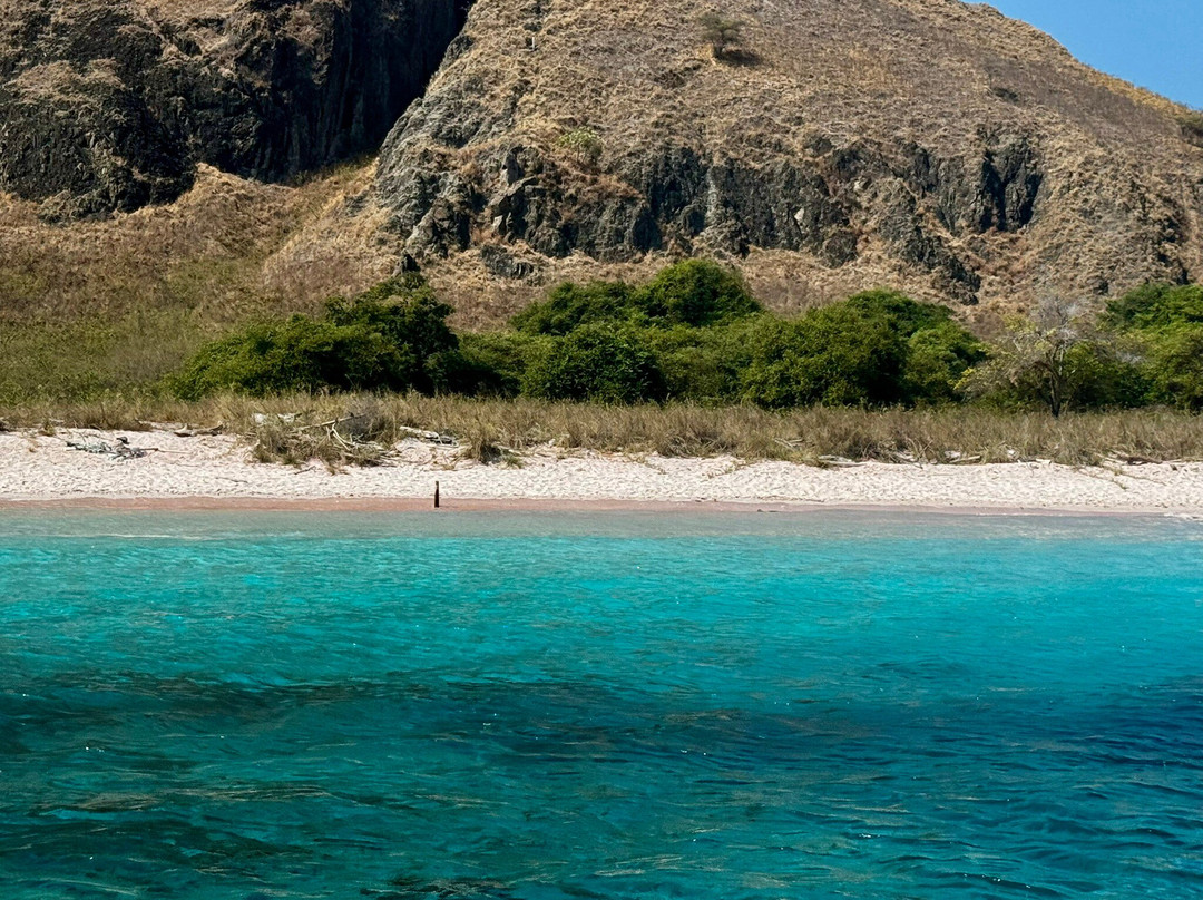 Komodo local tour-科莫多必去景点