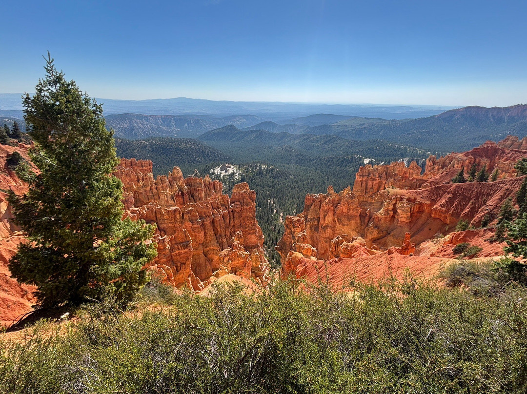 Ponderosa Canyon-布莱斯必去景点