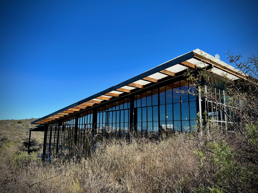 Mañosso Bodegón De Montaña