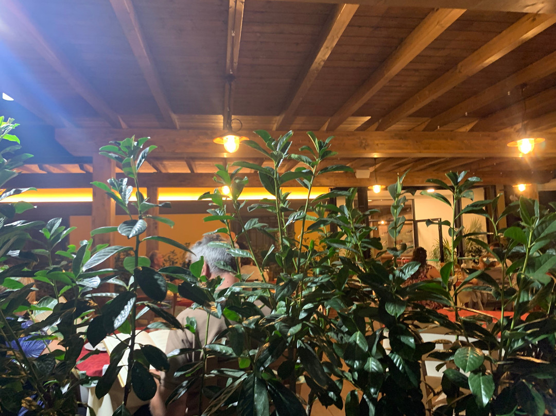 Ristorante Braceria Valdichiana da Settimio