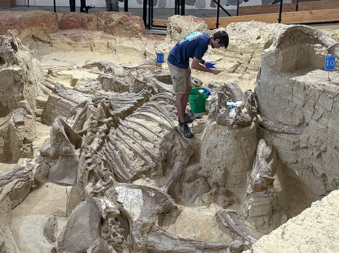 The Mammoth Site of Hot Springs-温泉城必去景点