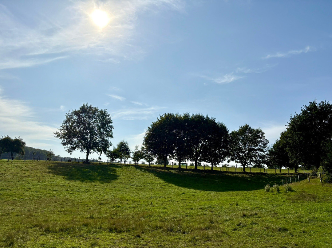 Glockenhof Studtmann主图