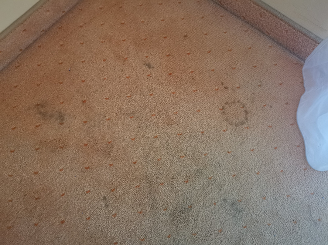 索利图德酒店主图