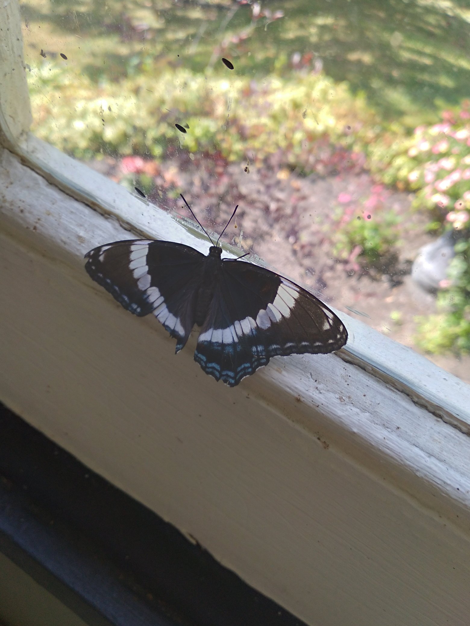 The 1865 Bella Mansion B&B-官方