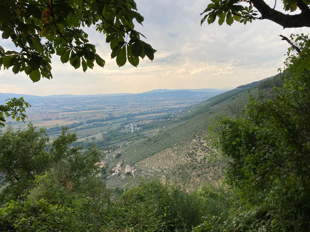 Castello Di Campello Alto