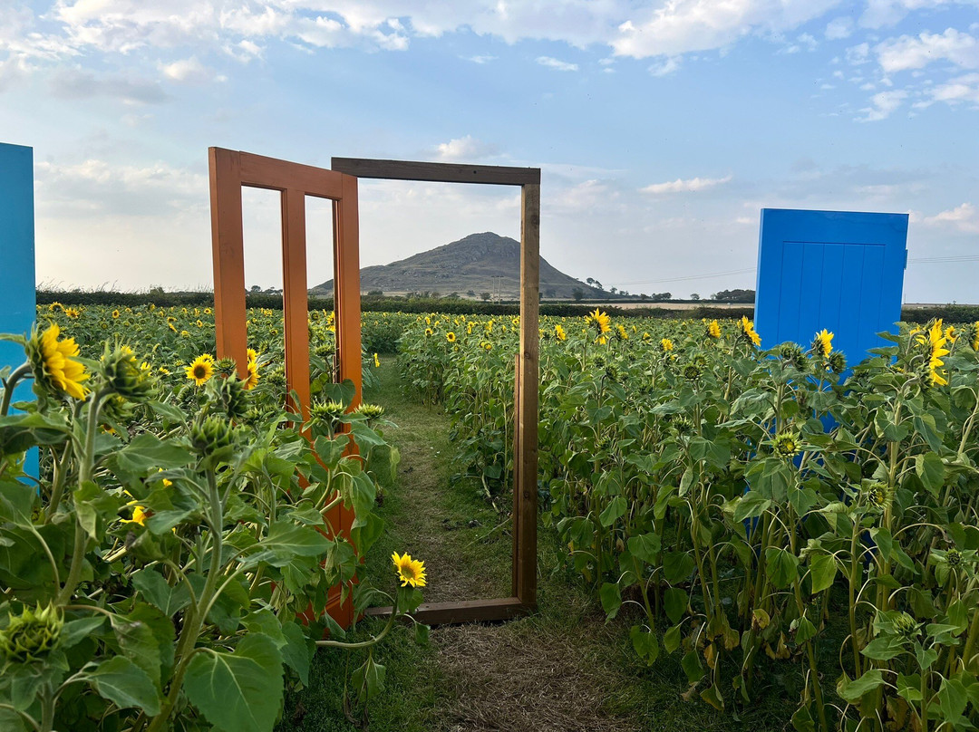 Balgone Estate-北柏威克必去景点