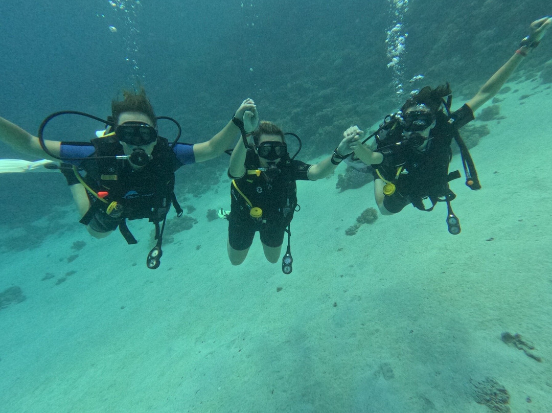 Bedouin Divers Dahab-达哈卜必去景点