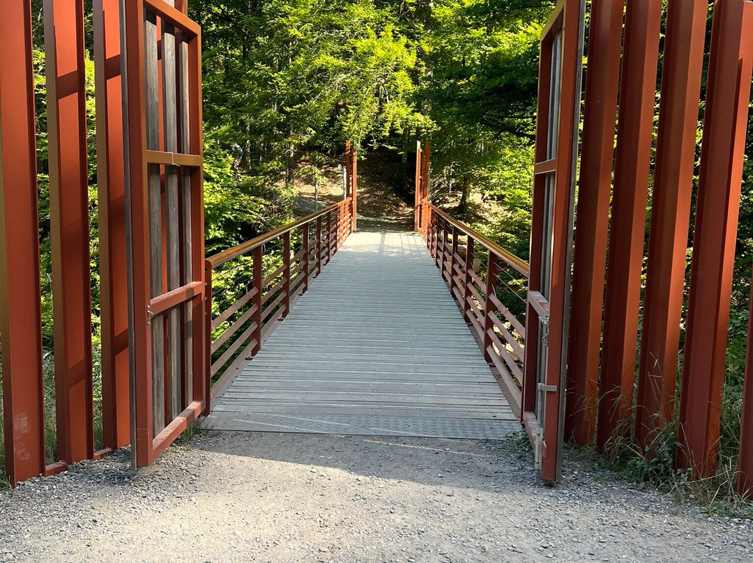 Cascade D'ardent-Montriond必去景点