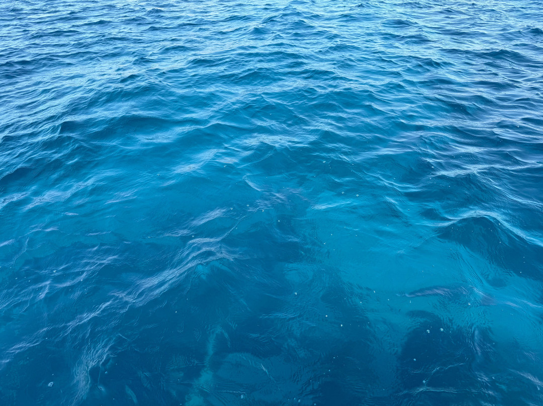 Sailover-卡利亚里省必去景点