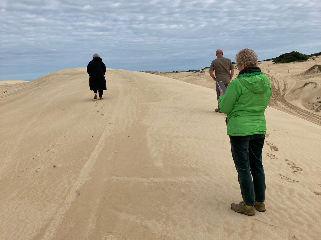 Stillwater Paddleboards-海滩港必去景点