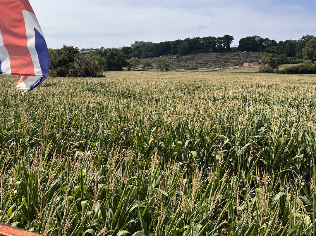 Elton Farm Maize Mazes-Newnham-on-Severn必去景点
