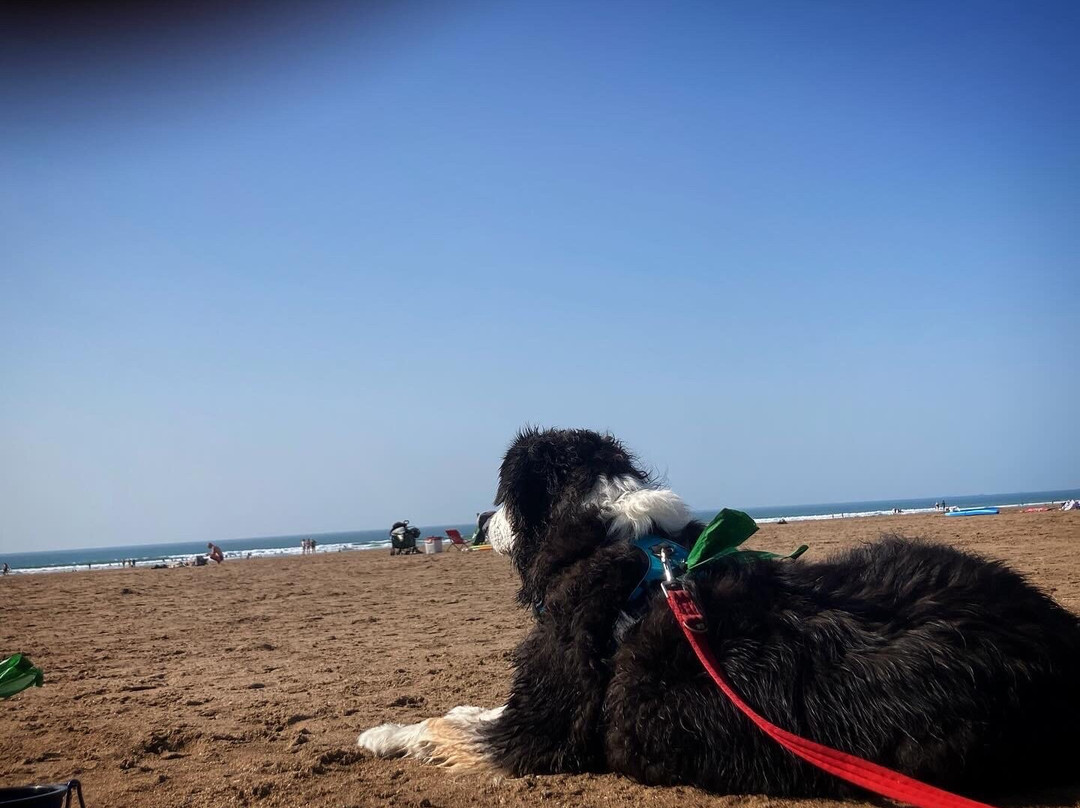 Putsborough Sands-Putsborough必去景点